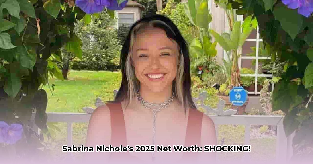 sabrina-nichole-net-worth